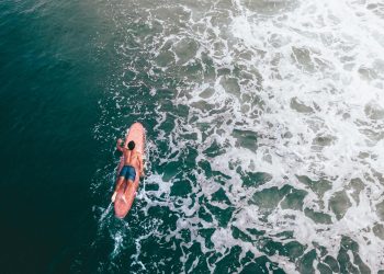 pexels-cristian-rojas-8908040